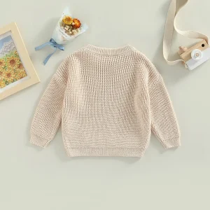Infant Toddler Crew Neck Sweater